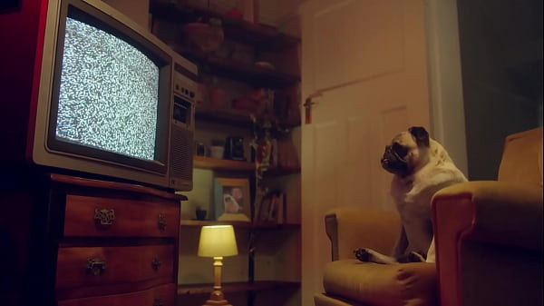 BENEFIT MONKEY: Fantasie and Emily Pink make out on the couch and end up sucking each other’s vaginas